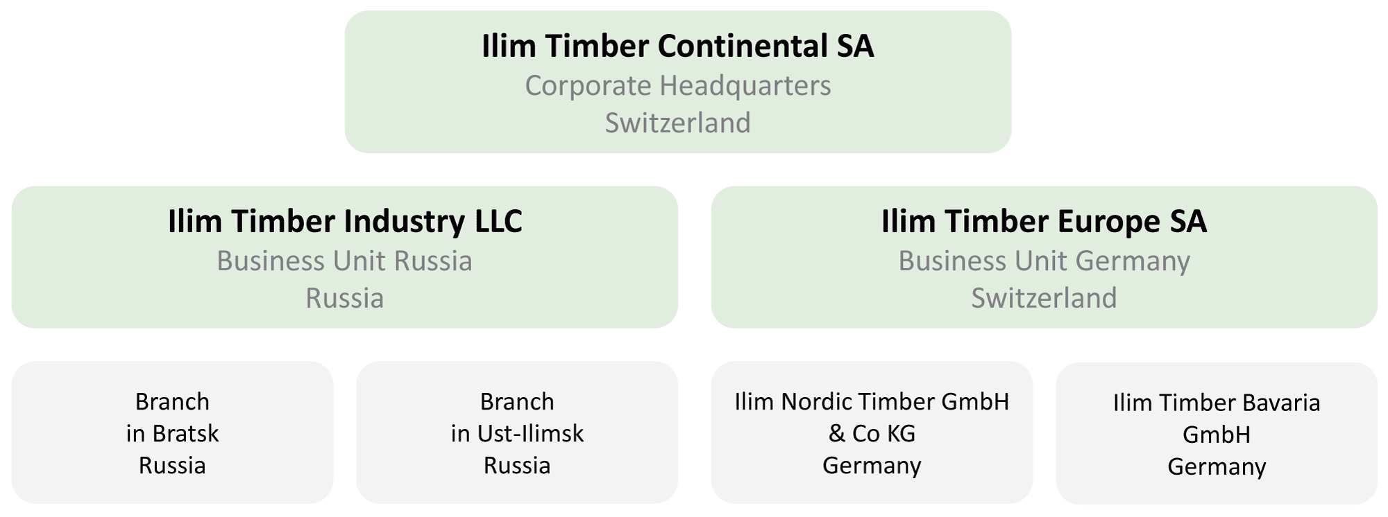 Organisational structure Ilim Timber